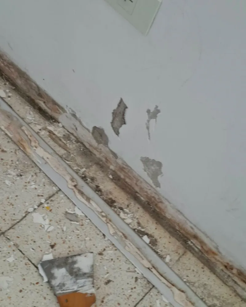 Zócalo con humedad y pintura saltada, con una espátula en el piso