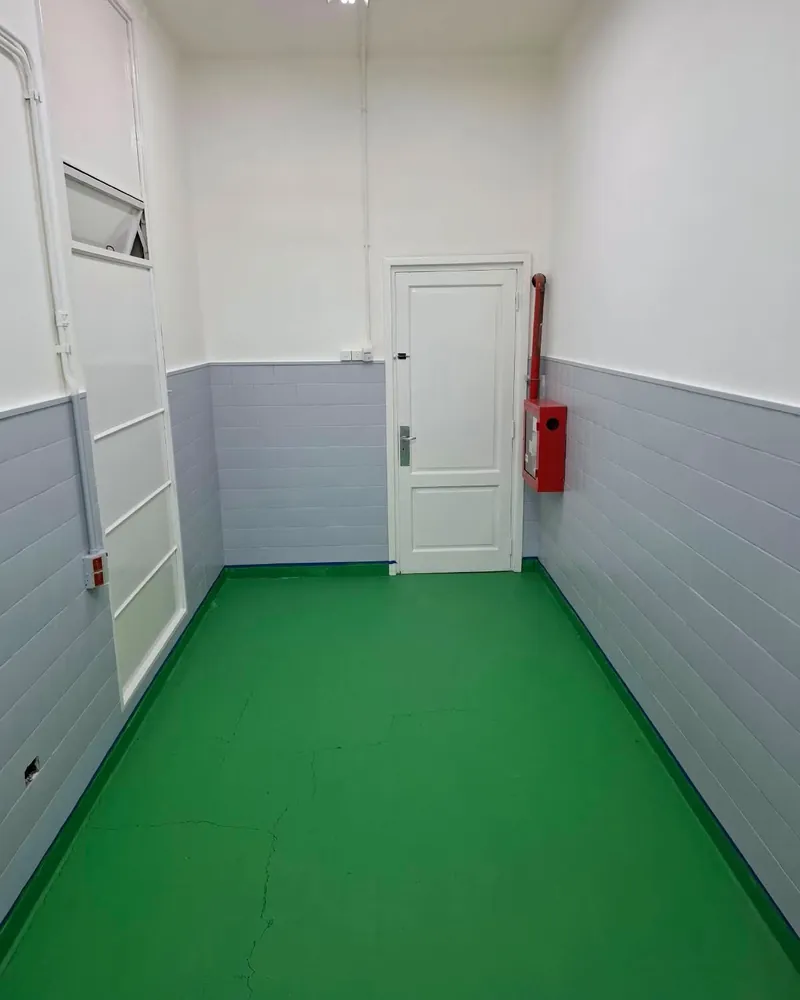 Pasillo terminado con la puerta pintada de blanco y el piso verde